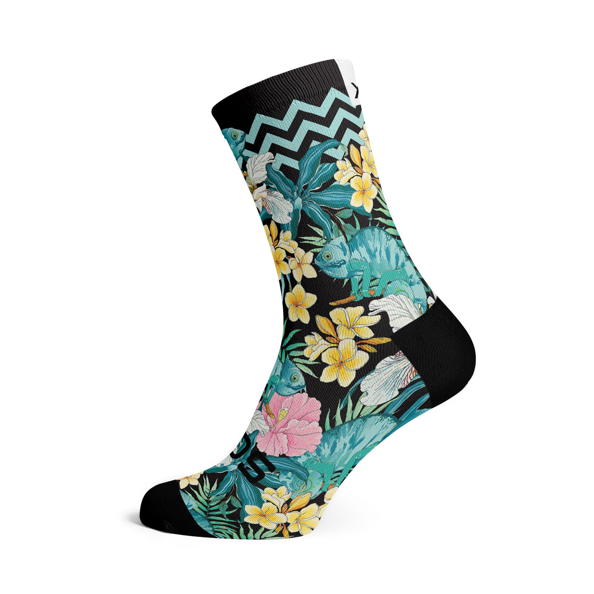 Chameleon Socks